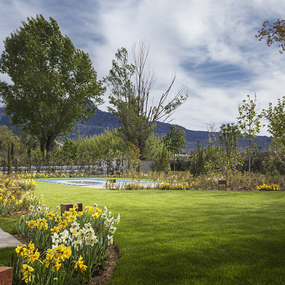 Tendencias en jardines