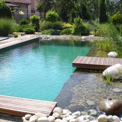 Piscina ecológica Piscina ecológica