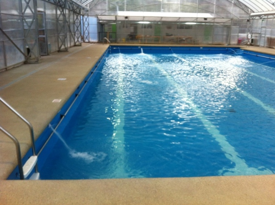 Piscinas deportivas Piscinas deportivas