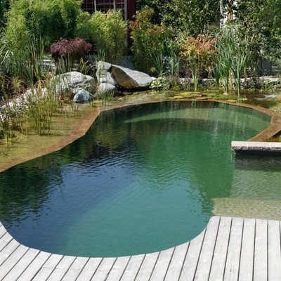 Piscina natural Piscina natural