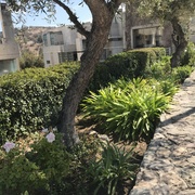 Mantención de Jardines Valle Escondico
