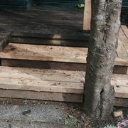 Reconstrucción de Terraza en madera nativa.
