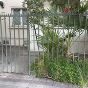 Reacondicilnamiento rejas de acceso