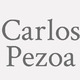 Logo Carlos Pezoa_12625