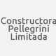 Logo Constructora Pellegrini Limitada_14338