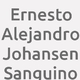 Logo Ernesto Alejandro Johansen Sanguino_13282