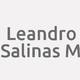 Logo Leandro Salinas M_14503