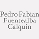 Logo Pedro Fabian Fuentealba Calquin_9554