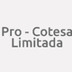 Logo Pro - Cotesa Limitada_7122
