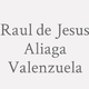 Logo Raul de Jesus Aliaga Valenzuela_16623