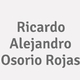 Logo Ricardo Alejandro Osorio Rojas_15826
