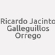 Logo Ricardo Jacinto Galleguillos Orrego_16245