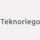 Logo Teknoriego_3440