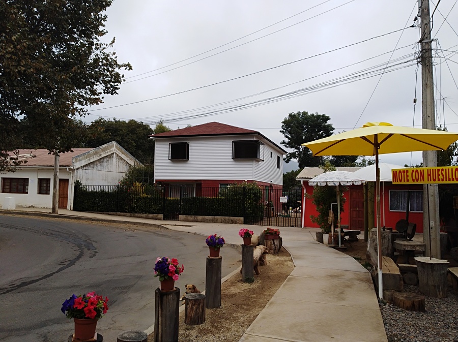 proyectos realizados