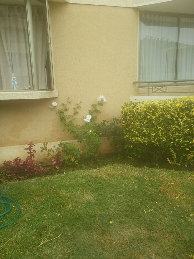 Mantención de áreas verdes en condominio