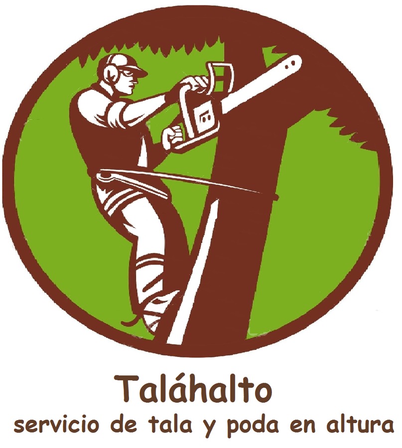 servicio de tala y poda de altura 