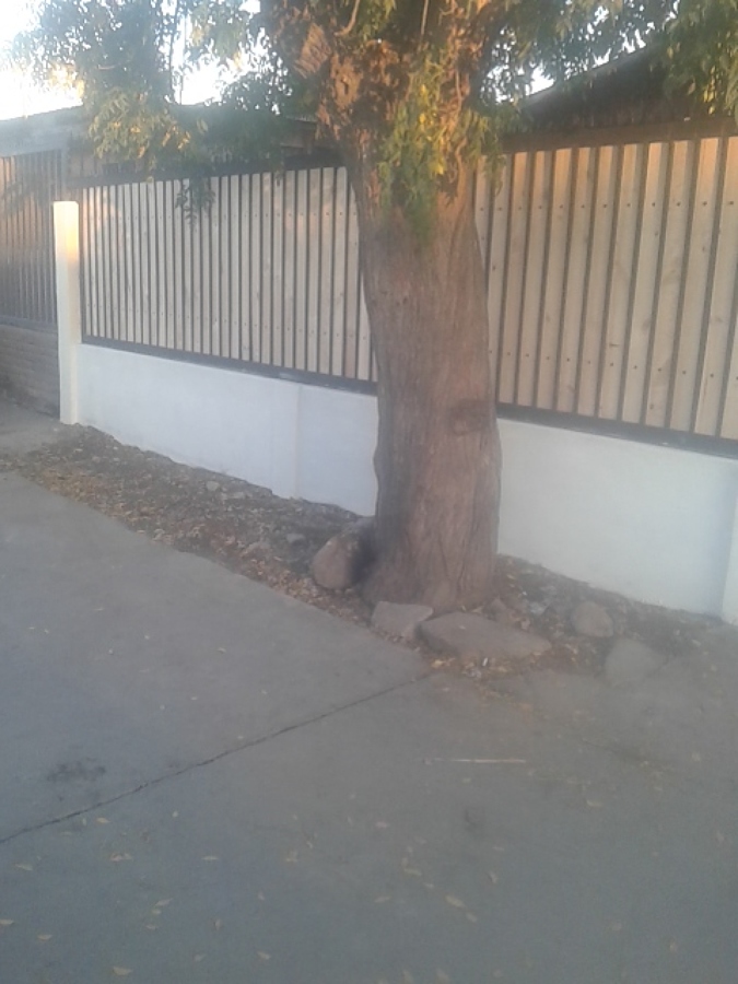 muro y reja reparados 