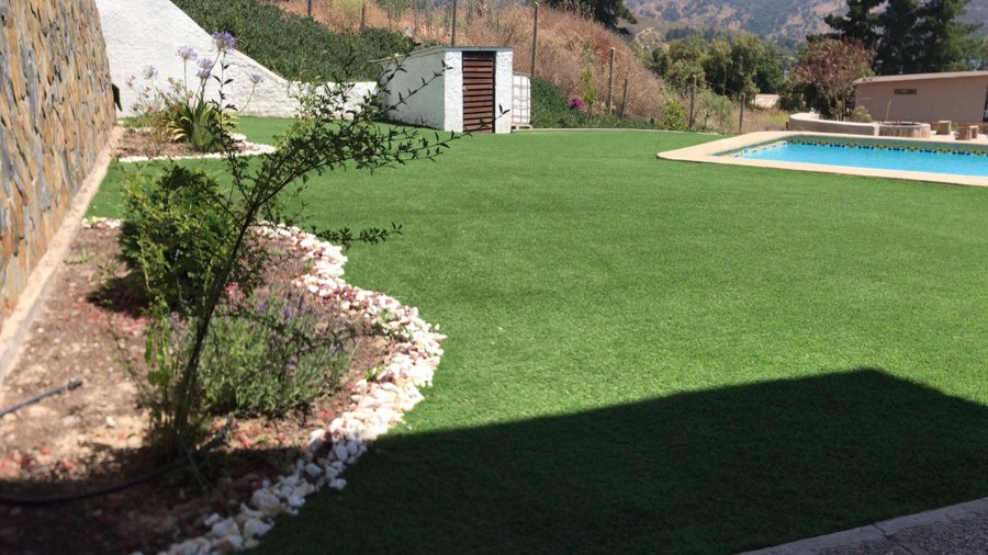 Pasto ornamental