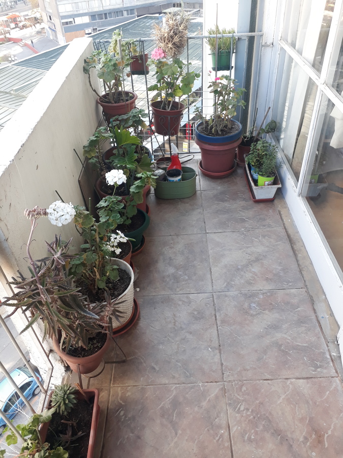 Orden y limpieza de jardines en balcones