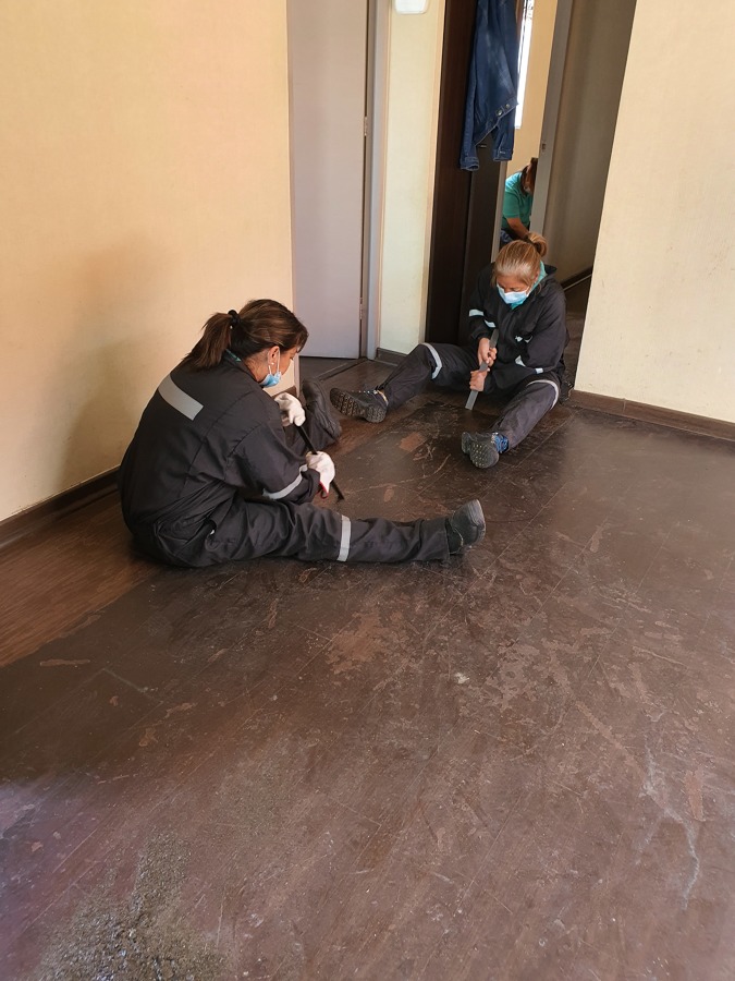 Extracción de gomas