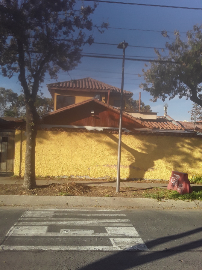 Antes