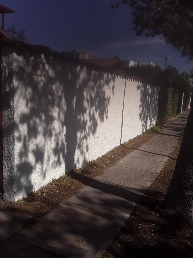 Muro