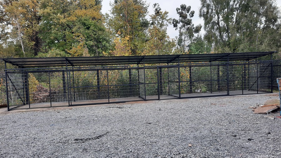 Proyecto Supermercado el Trebol Vilcun