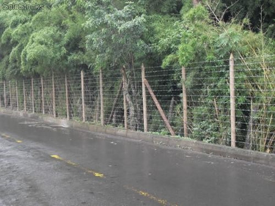 Cerco en alambre de puas