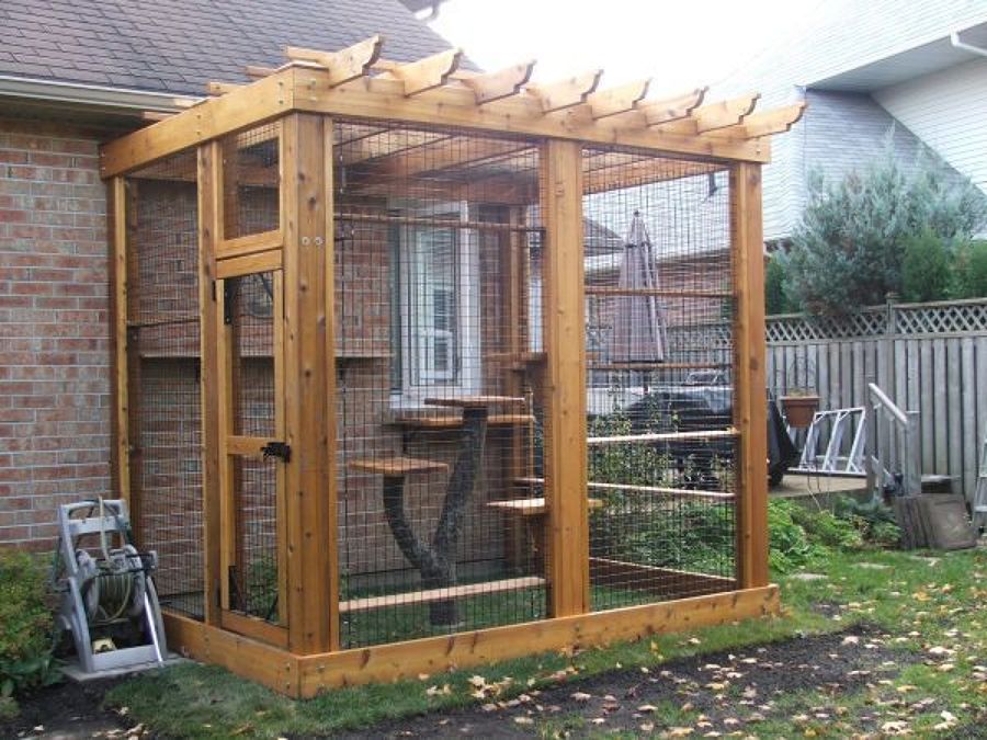 Catio