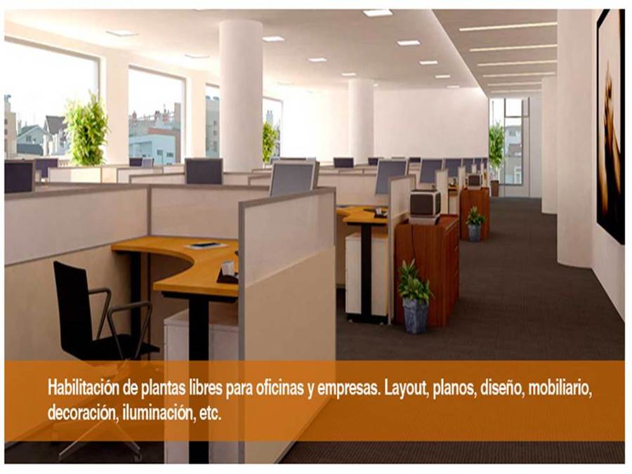 Habilitación plantas libres