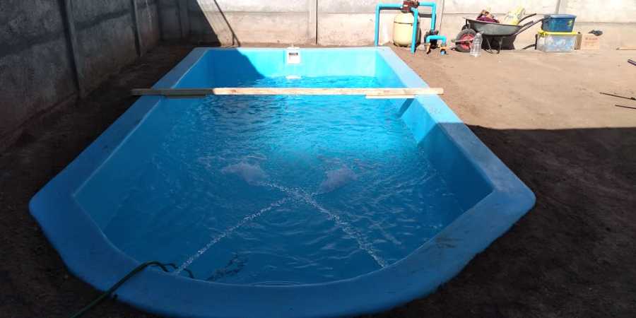 Piscina de fibra de vidrio instalada