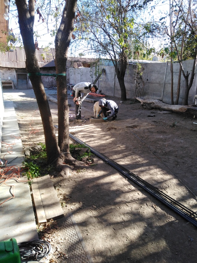 Protección en panderetas