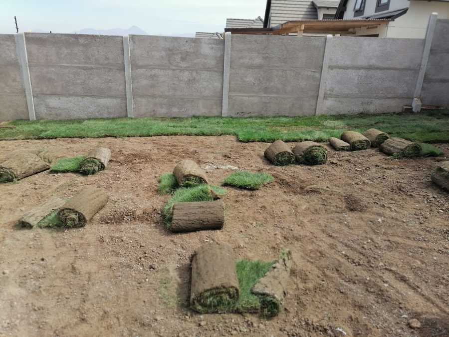 Instalación pasto en rollo