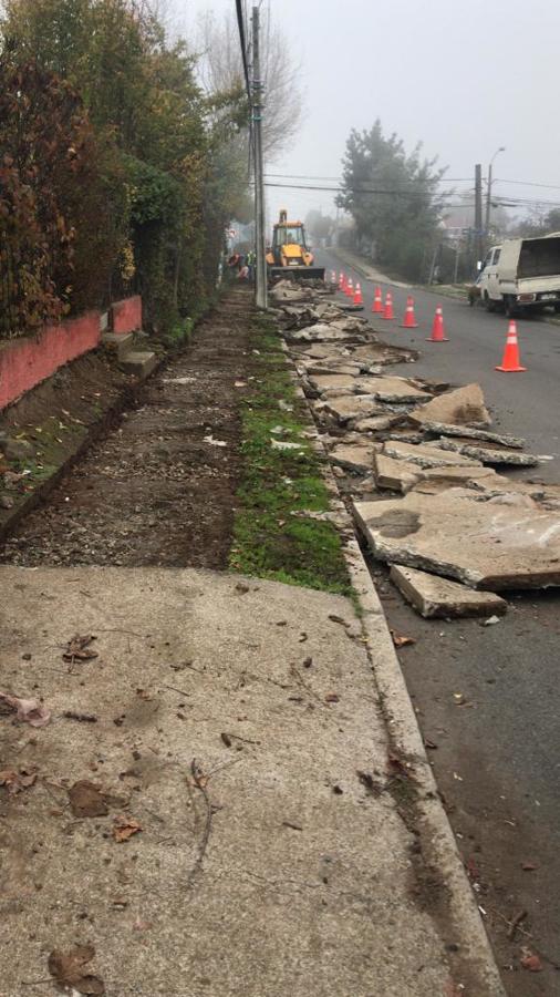 Preparacion de terreno