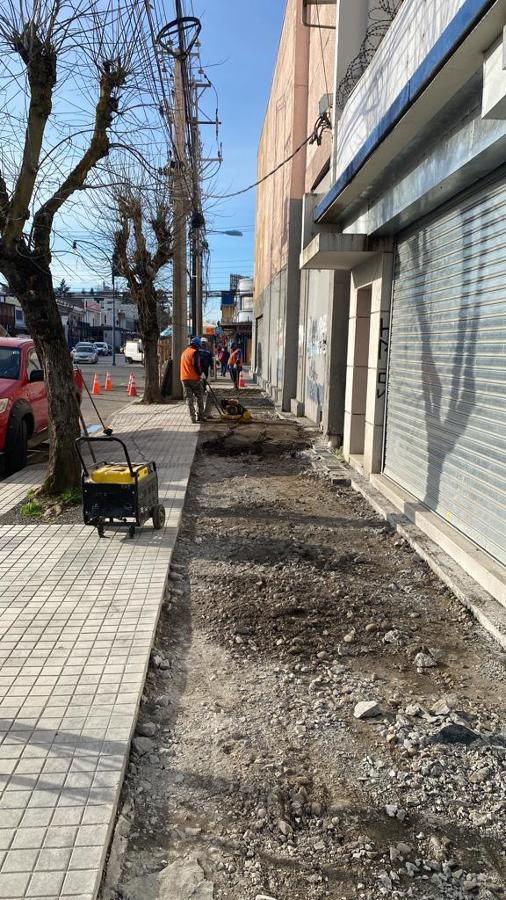 Preparacion de terreno para veredas