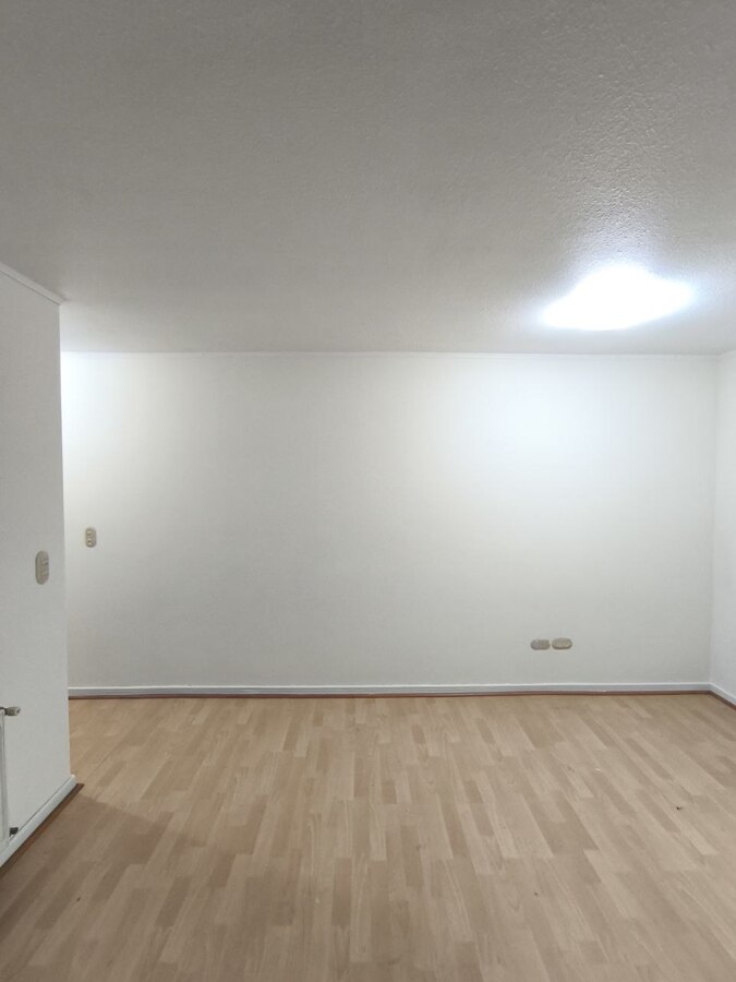 Pintura y cambio de piso flotante