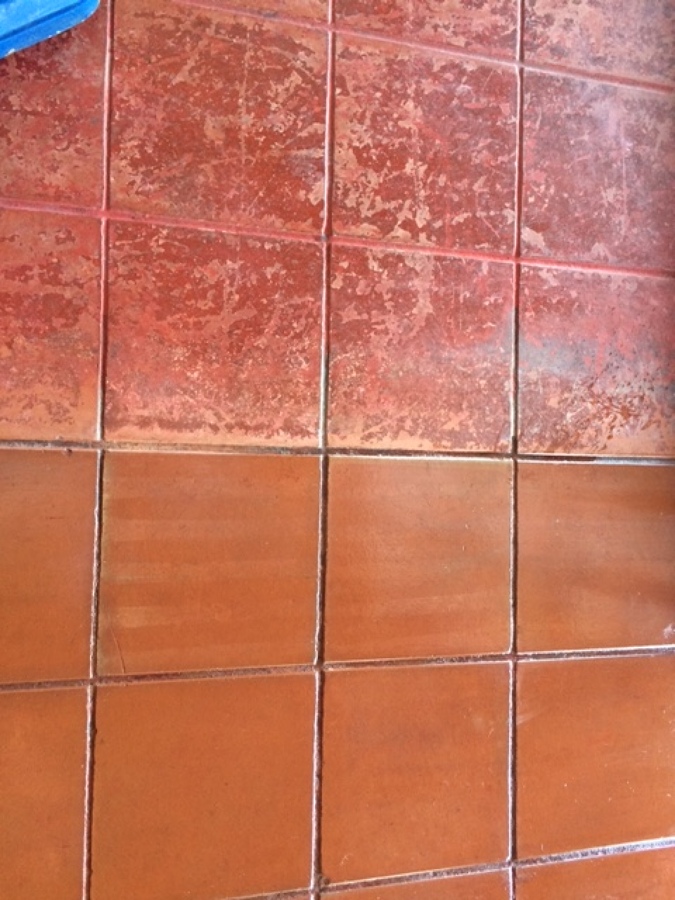 Muestra  de tratamiento de pisos de batuco