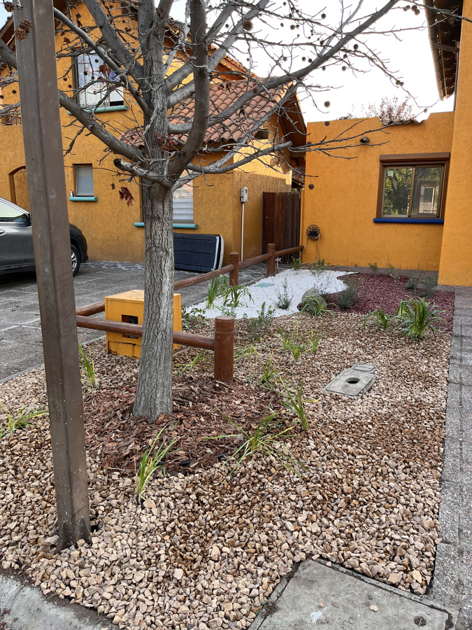 Proyecto Jardín Bajo Consumo