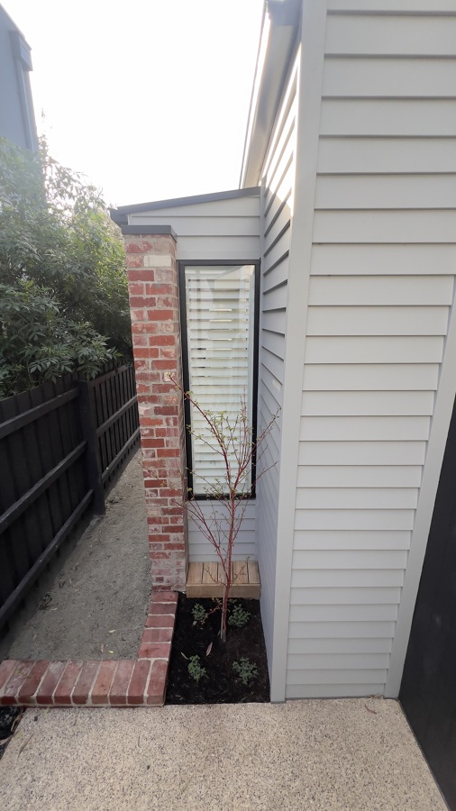 arbol y deck