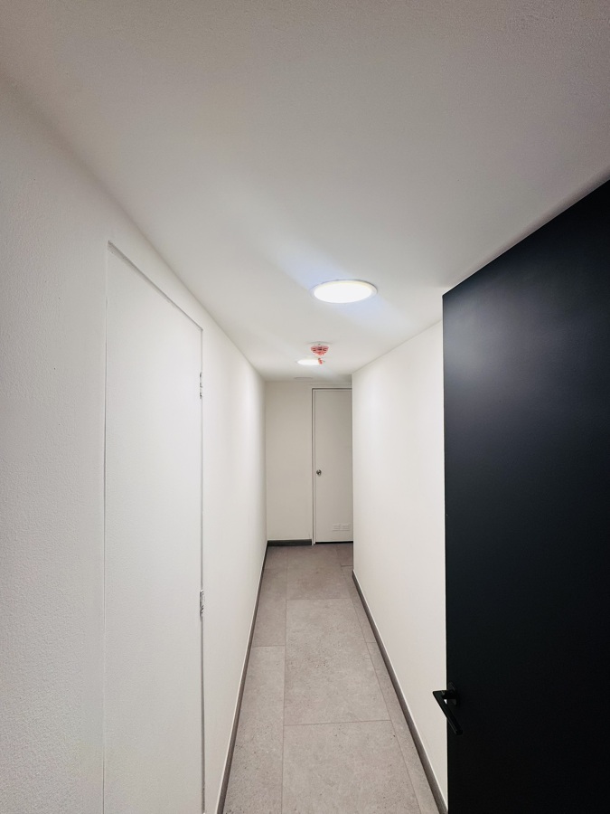 Remodelación Kross – WTC