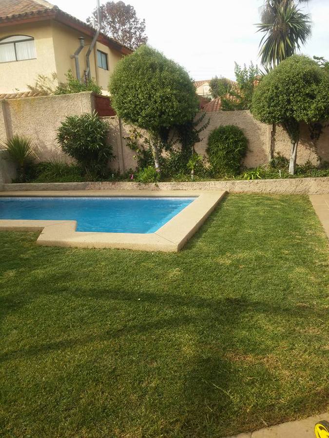 Jardín en Casa Particular