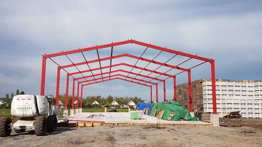 Vista general galpón