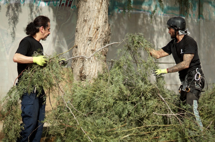 Acopio y retiro de material verde
