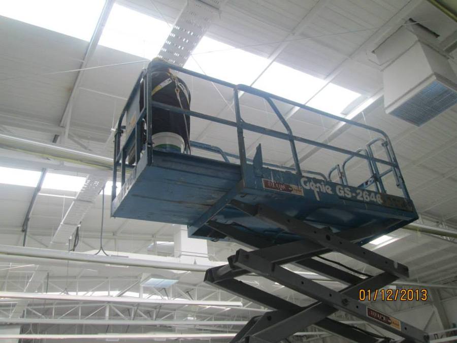 Pintura de Santa Isabel Sargento Silva