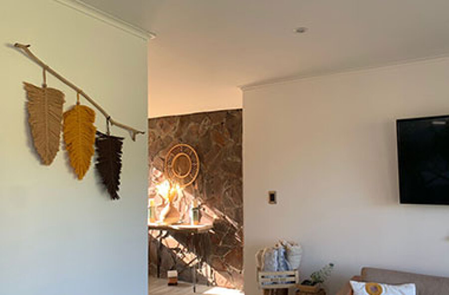 Terminación, pintura y decoración interiores
