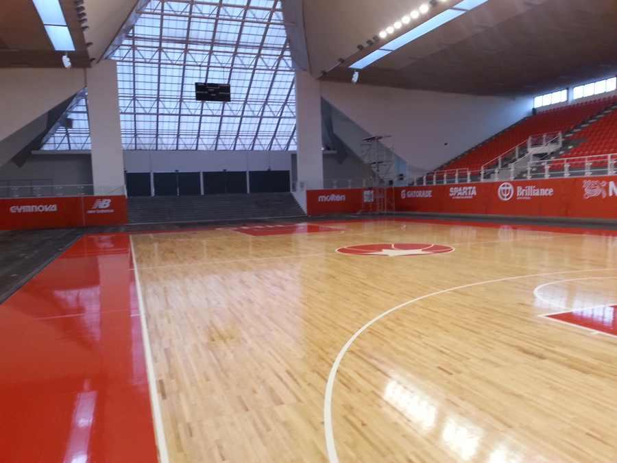 polideportivos gimnasio Aleman Valdivia