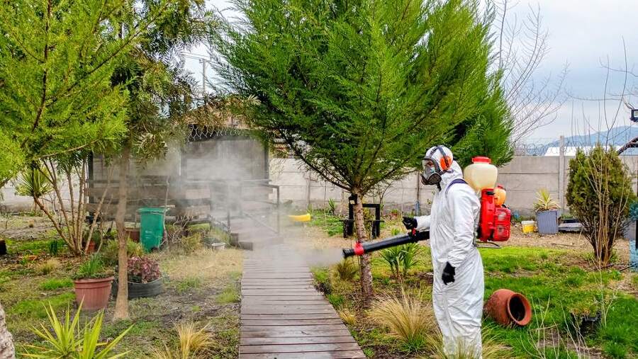 Servicio fumigación