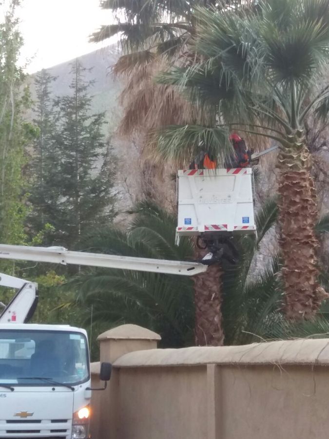 Paisajismo Cerro Grande Ltda. - La Serena