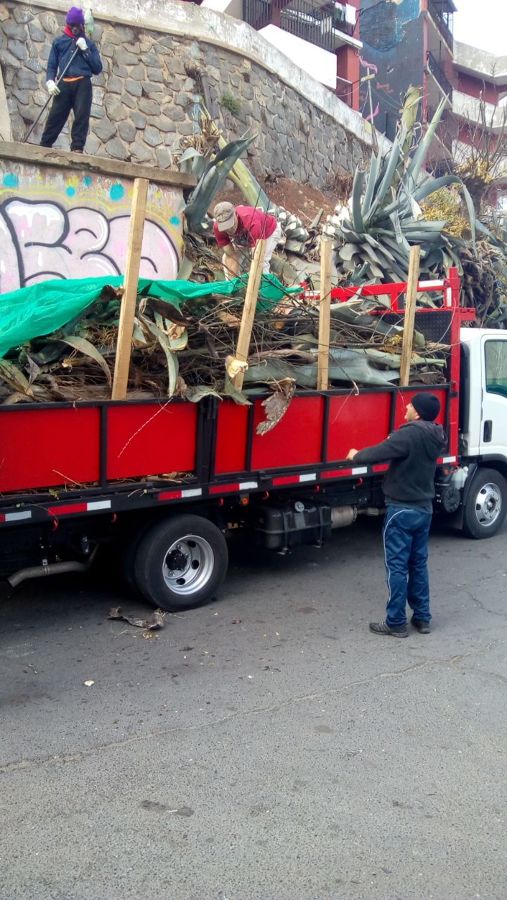 Limpieza de terreno y desmalezado
