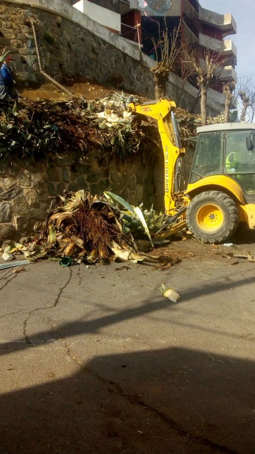 Limpieza de terreno y desmalezado